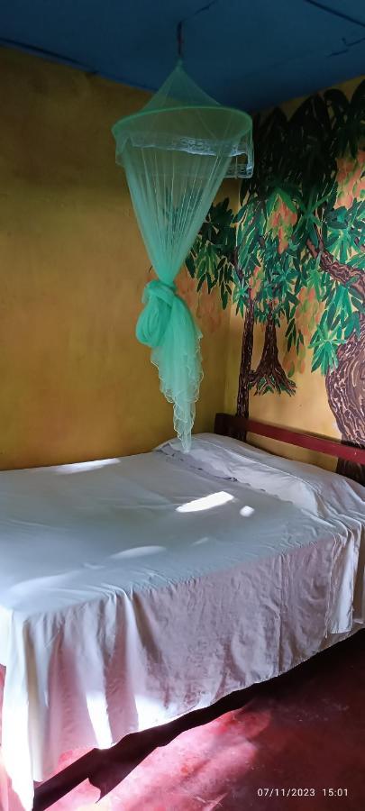 Hostel La Gloria Ometepe Luaran gambar