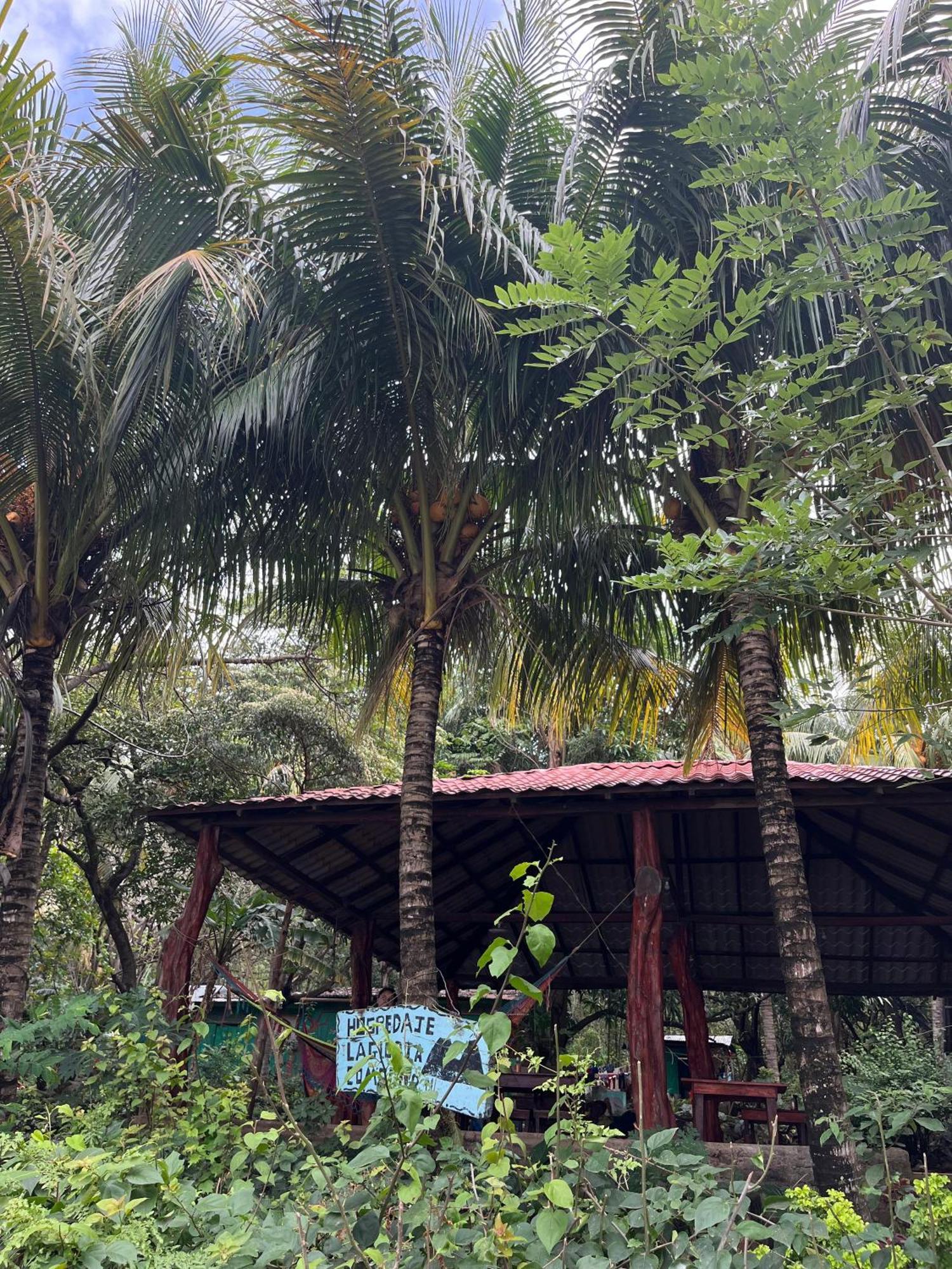 Hostel La Gloria Ometepe Luaran gambar